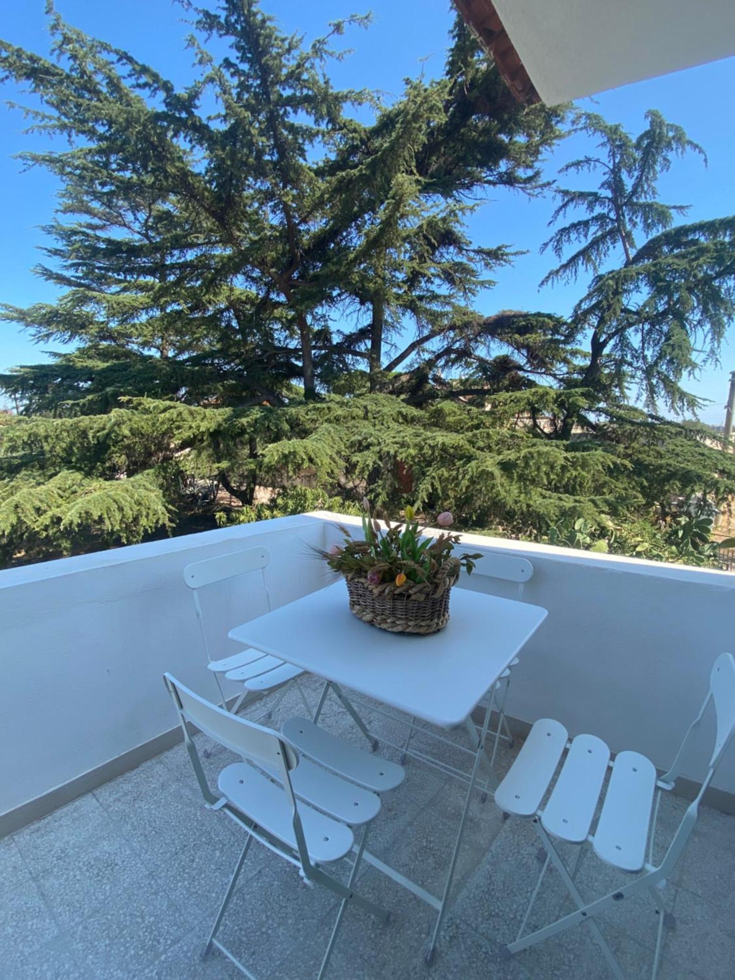 Apartament Il Sentiero Bari Zewnętrze zdjęcie