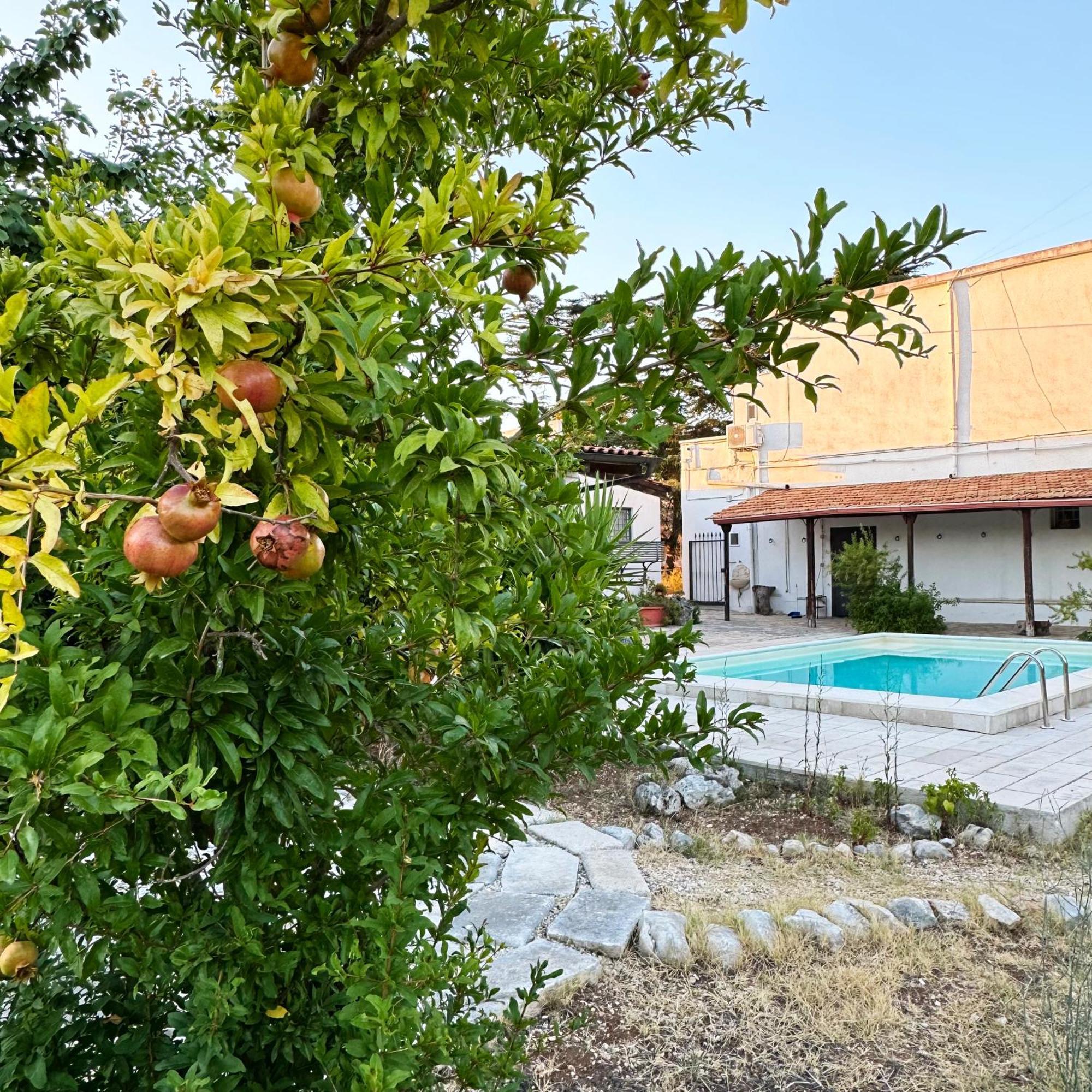 Apartament Il Sentiero Bari Zewnętrze zdjęcie